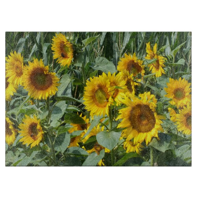 flower, sun, plant, nature, summer, floral, cutting board (Front)