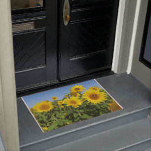 flower, sun, plant, nature, summer, floral, doormat