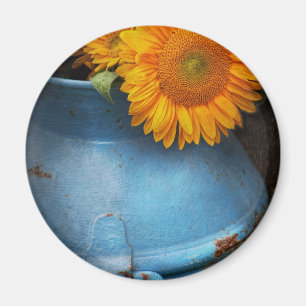 Flower - Sunflower - Little blue sunshine Magnet