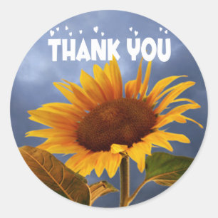 Flower Thank You Yellow Sunflowers Floral Wedding Classic Round Sticker