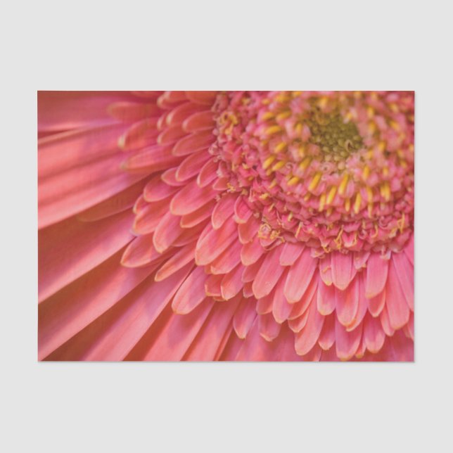 Flower Tissue Paper (Front)