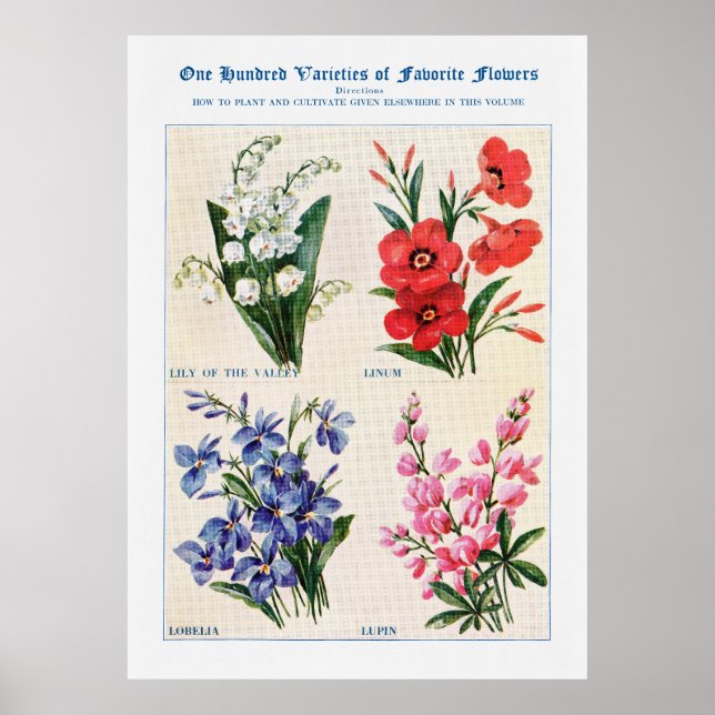 Flower Watercolor 4 Poster (Front)