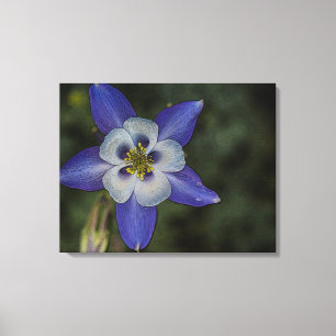 Flower watercolor photography art home decor