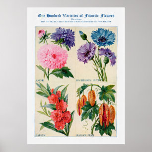 Flower Watercolor Poster