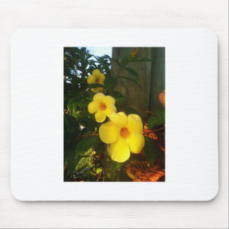 Flower Yellow Cocoa Beach 2014 jGibney The MUSEUM Mouse Mat