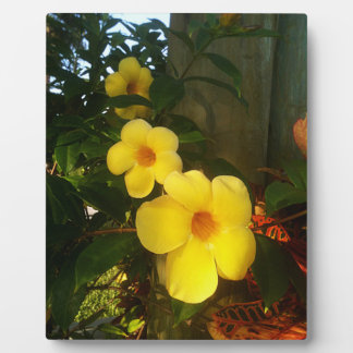 Flower Yellow Cocoa Beach 2014 jGibney The MUSEUM Plaque
