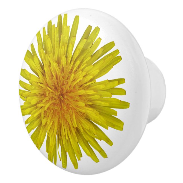Flower Yellow Dandelion Photo Ceramic Knob (Right)