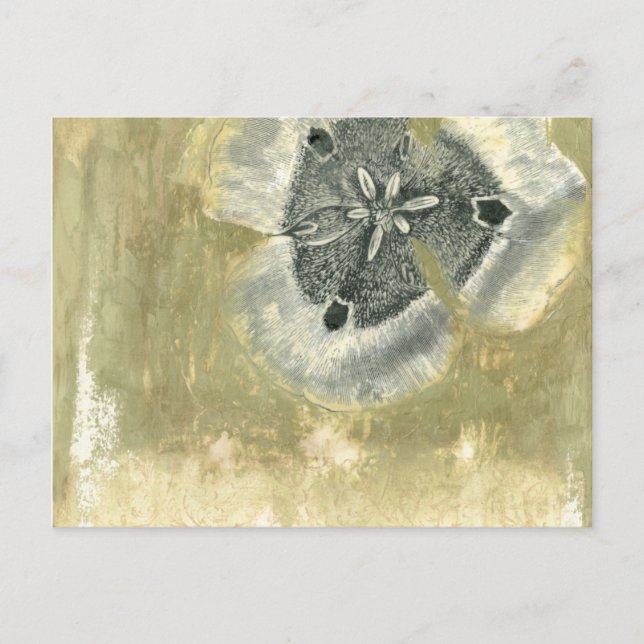 Flowerhead Abstract with Glazed Texture Postcard (Front)