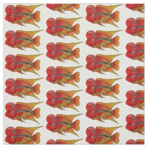 Flowerhorn cichlid fish cartoon illustration fabric