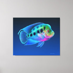 Flowerhorn Cichlid Fish Wrapped Canvas