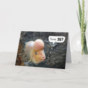 Flowerhorn Fish 35th Birthday Humour   Card