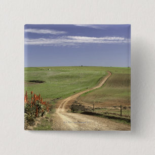 Flowering aloes near Caledon, Western Cape 15 Cm Square Badge