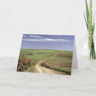 Flowering aloes near Caledon, Western Cape Card