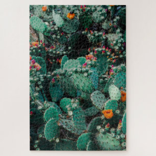 Flowering Cactus Plants Jigsaw Puzzle