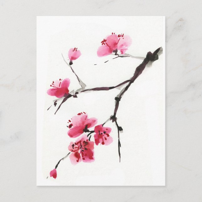 Flowering cherry. Spring blossom. Ink painting Postcard (Front)