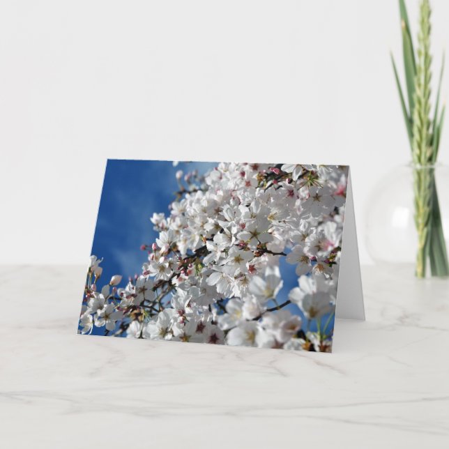 Flowering Cherry Tree Card (Front)