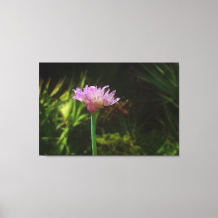 Flowering Chives and Palmetto Canvas Print