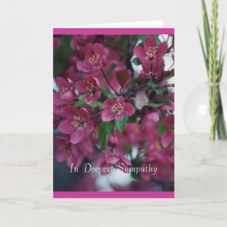 flowering crab blooms1 card