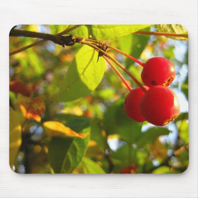 Flowering Crabapple Fall Mousepad (Front)