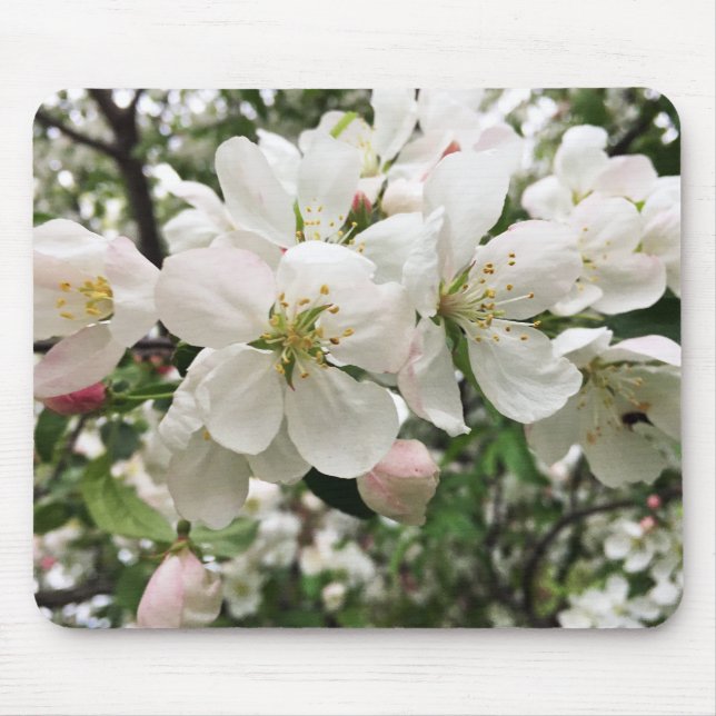 Flowering Crabapple Mouse Mat (Front)