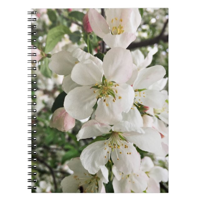 Flowering Crabapple Notebook (Front)