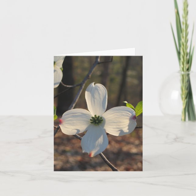 Flowering Dogwood Card (Front)