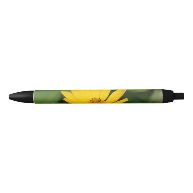 Flowering False Sunflower Black Ink Pen (Front)