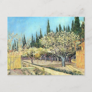Flowering fruit garden by Vincent van Gogh Postcard