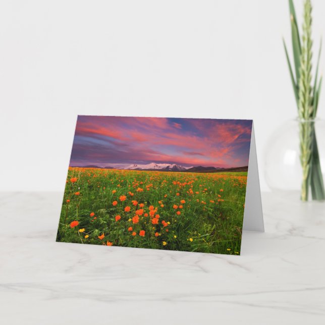 Flowering Globe Flower Card (Front)