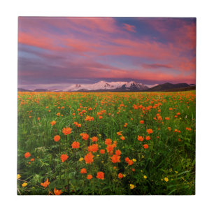Flowering Globe Flower Tile