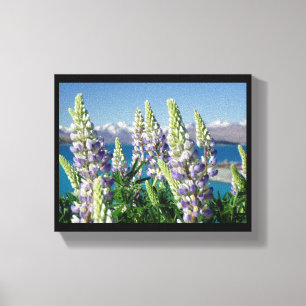 Flowering Lupine New Zealand Landscape Canvas Print