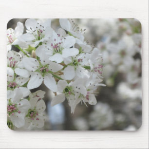 Flowering Pear Tree Bloom Mouse Mat