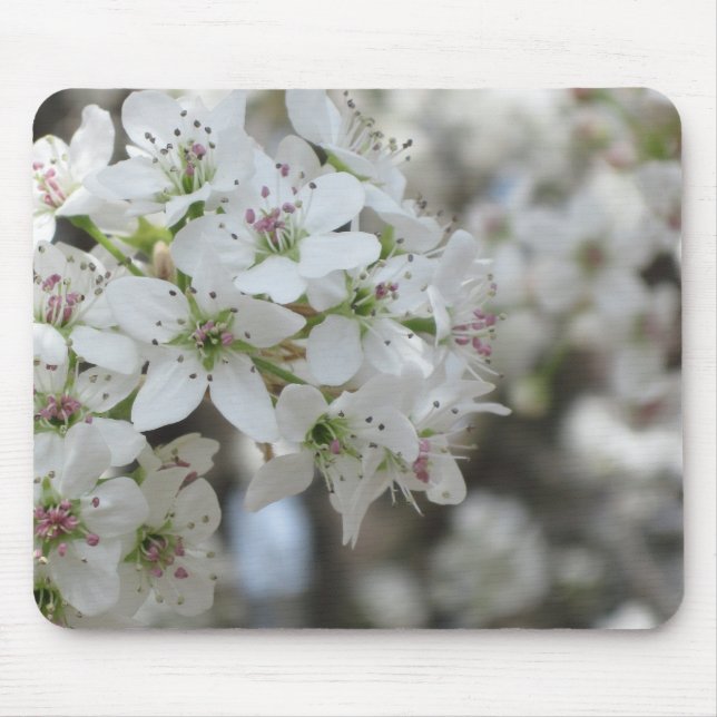 Flowering Pear Tree Bloom Mouse Mat (Front)