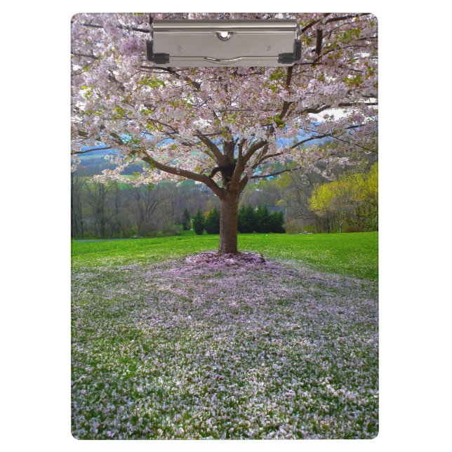 Flowering Pink Cherry Blossom Tree with Woods Clipboard (Front)