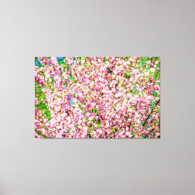 Flowering Plum Canvas Print (Front)