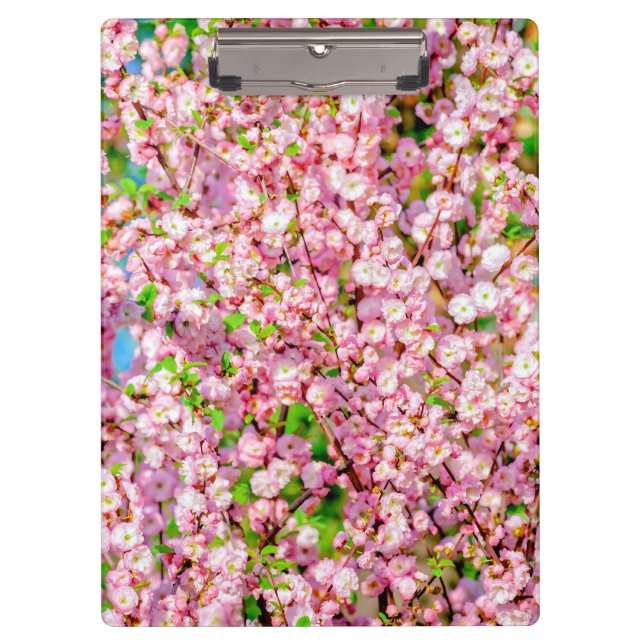 Flowering Plum Clipboard (Front)