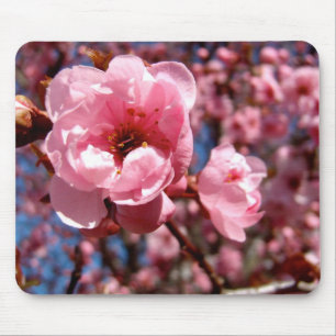 Flowering Plum Mouse Mat
