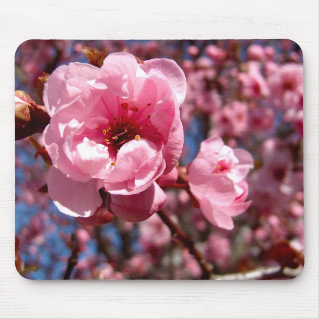 Flowering Plum Mouse Mat (Front)