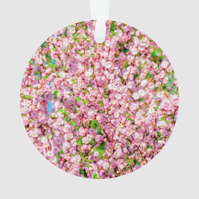 Flowering Plum Ornament (Back)