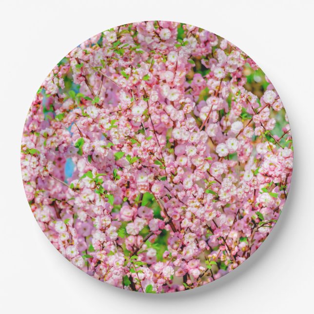 Flowering Plum Paper Plate (Front)