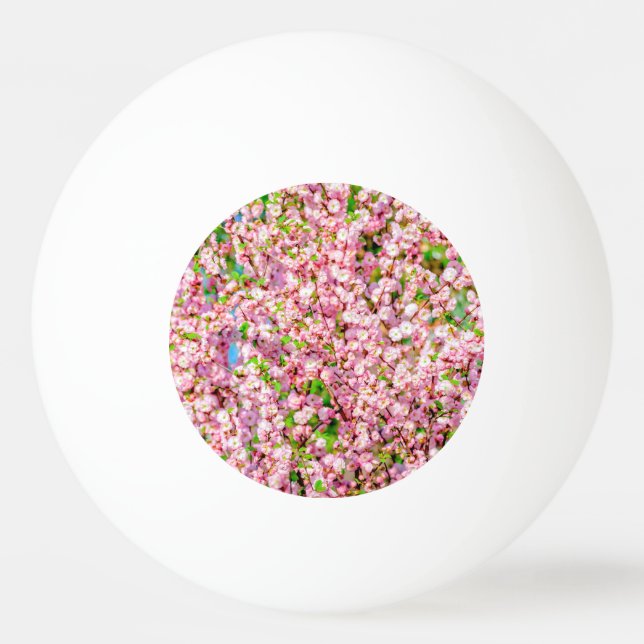 Flowering Plum Ping Pong Ball (Front)