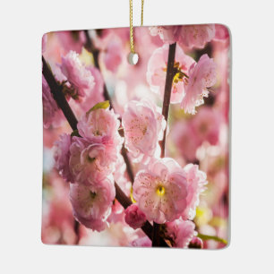 Flowering Plum - Pink Paradize Ceramic Ornament