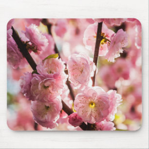 Flowering Plum - Pink Paradize Mouse Mat