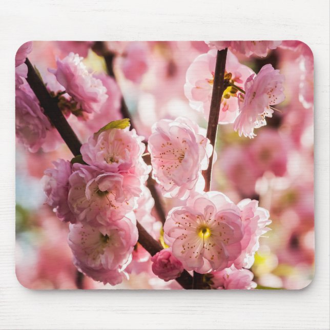 Flowering Plum - Pink Paradize Mouse Mat (Front)