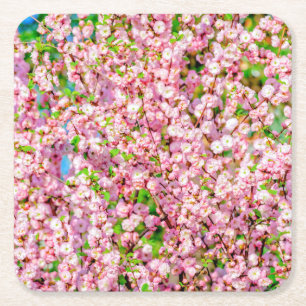 Flowering Plum Square Paper Coaster