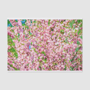 Flowering Plum Tissue Paper