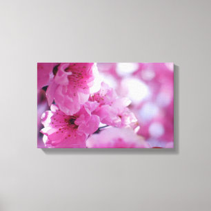 Flowering Plum Tree Blossom Canvas Print
