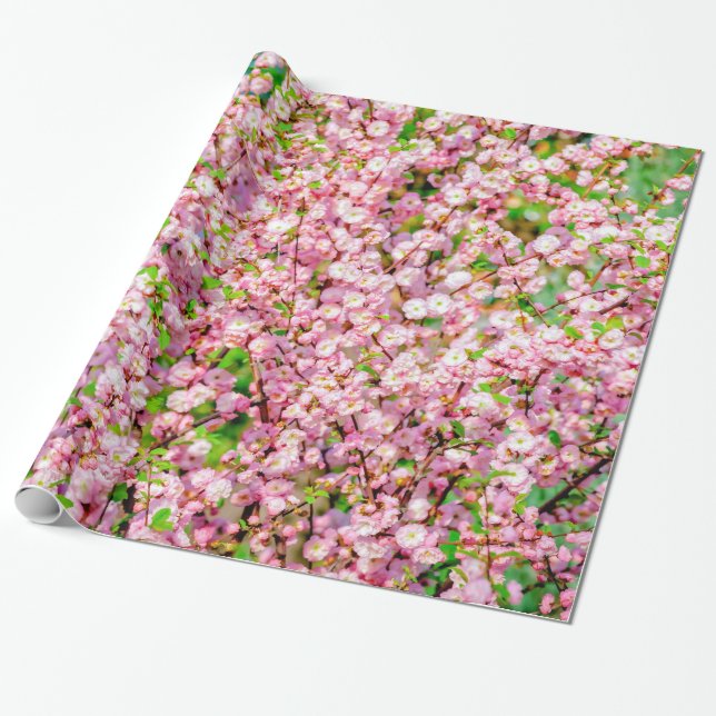 Flowering Plum Wrapping Paper (Unrolled)