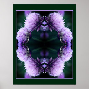 Flowering Purple Scallion Allium Abstract  Poster