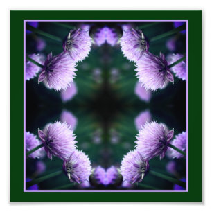 Flowering Purple Scallion Onion Abstract 8x8 Photo Print